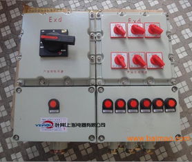 防爆多回路控制箱 8回路防爆控制箱,防爆多回路控制箱 8回路防爆控制箱生產廠家,防爆多回路控制箱 8回路防爆控制箱價格